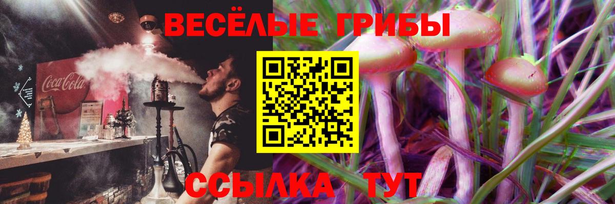 Галлюциногенные грибы Magic Shrooms  купить  цена  Вход с VPN  Ярославль  Псилоцибиновые грибы MAGIC MUSHROOMS 