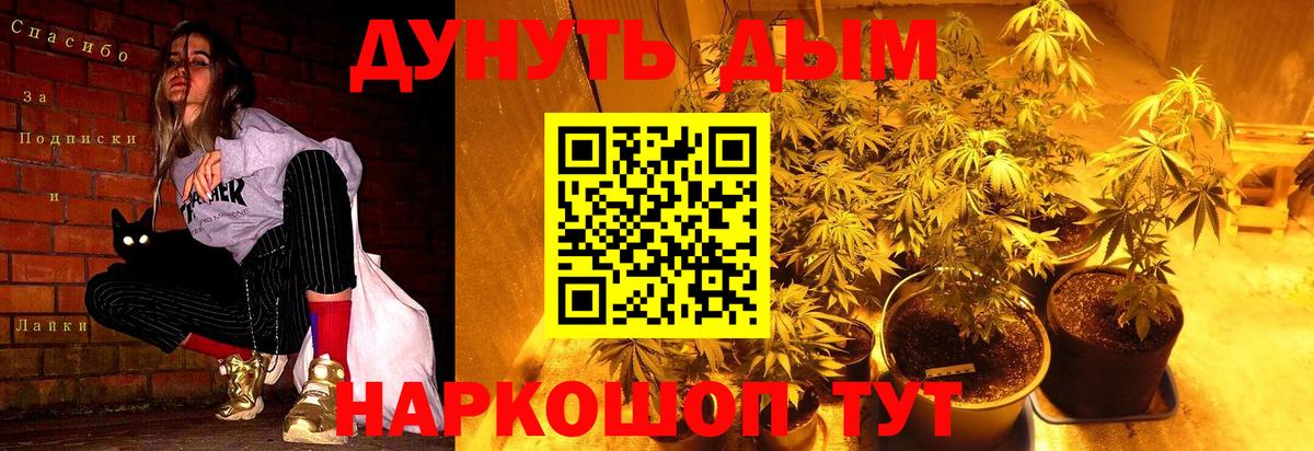 Каннабис ГИДРОПОН  Бошки марихуана конопля  Вход с VPN  Ярославль  Бошки марихуана SATIVA & INDICA 